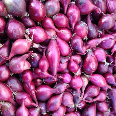Onion Sets (100 pack)
