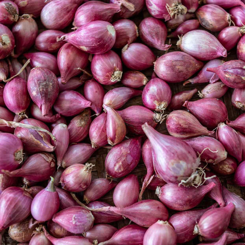 Shallot Onion Pack (10 bulbs)