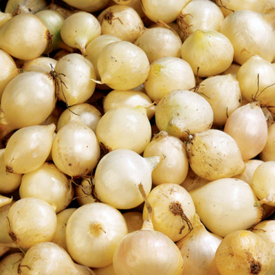 White Onion Bulbs (25lb Bag)