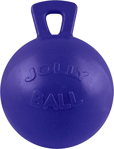 Jolly Ball Horse Toy 10"