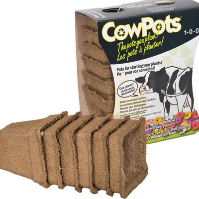 Cow Pots Square 3"
