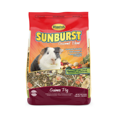 SunBurst Guinea Pig